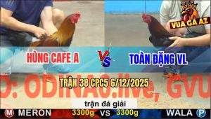 Trận 38 CPC5 6/12/2025 - Anh Hùng Cafe A Gặp Anh Toàn Đặng Vĩnh Long