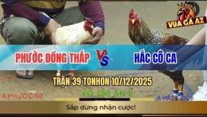 Trận 39 TonHon 10/12/2025 - Gà Cú Anh Hắc Cô Ca Một Đá Bướm Chết Tươi