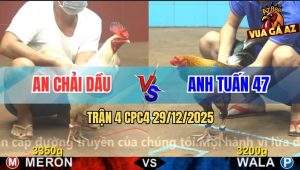 Trận 4 CPC4 29/12/2025 - Gà Cú Anh Tuấn 47 Bắn Gà Úa Liệt Nữa Người