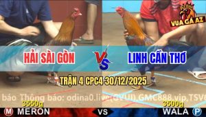 Trận 4 CPC4 30/12/2025 - Anh Linh Cần Thơ Ra 2 Con Gãy Nguyên Cặp