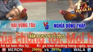 Trận 4 CPC5 4/12/2025 - Điều Đỏ Đá Chân Chí Mạng Xanh Lọt Chết Tươi