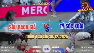 Trận 4 Xà Xía 30/12/2025 - Bướm Đâm Điều Ngay Hang Cua Chết Quẹo Cổ