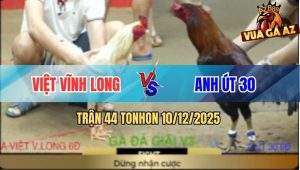 Trận 44 TonHon 10/12/2025 - Anh Việt VL Bảo Vệ Chức Vô Địch Thành Công
