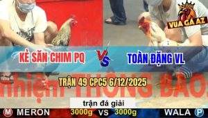 Trận 49 CPC5 6/12/2025 - Trạnh Nhì 1: Kẻ Săn Chim Và Anh Toàn Đặng