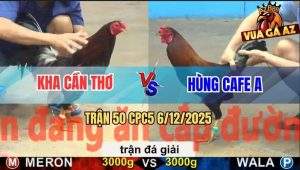 Trận 50 CPC5 6/12/2025 - Tranh Nhì 2: Anh Kha Cần Thơ Và Anh Hùng