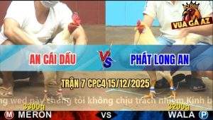 Trận 7 CPC4 15/12/2025 - Úa Dâu Ba Chia Đá Cây Cần Bướm Nằm Một Đống