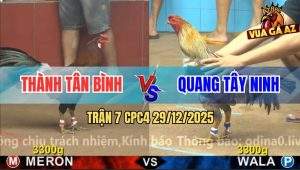 Trận 7 CPC4 29/12/2025 - Xám Chân Xanh Chốt Đen Đâm Điều Trích Đen Đấu
