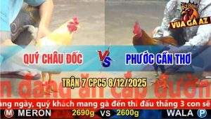 Trận 7 CPC5 8/12/2025 - Gà Úa Anh Quý Đâm Gà Điều Không Sót Chân Nào