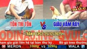 Trận 8 CPC5 25/12/2025 - Điều Anh Tôn Dẫn Tang Bị Sốc Thuốc Té Hết Cứu