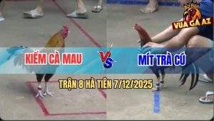 Trận 8 Hà Tiên 7/12/2025 - Điều Anh Mít Trà Cú Kém 4 Chấm Lụm Xổ 500