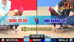 Trận 9 CPC3 14/12/2025 - Gà Xám Anh Khang Vô Ẩu Điều Để Cây Ông Địa Té