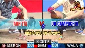 Trận 9 CPC3 28/12/2025 - Điều Lá Bến Thế Hạ Điều Cọp Gốc Bự Cái Xổ 500