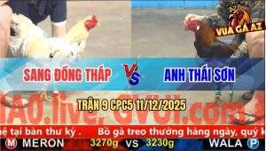 Trận 9 CPC5 11/12/2025 - Que Anh Thái Sơn Đá Bướm Chết Trong Chết Ra