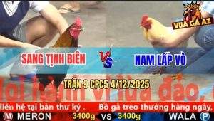 Trận 9 CPC5 4/12/2025 - Gà Úa Đá Tang Ăn 1, Nài Non Tay Không Dám Lấy