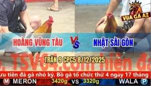 Trận 9 CPC5 8/12/2025 - Xám Son Anh Hoàng Đá Điều Bông Không Kịp Thở