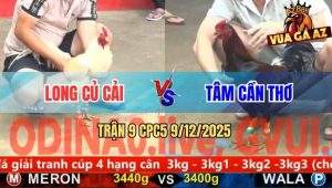 Trận 9 CPC5 9/12/2025 - Vô Kính Gà Úa Anh Long Thấm Tang Gục Đầu
