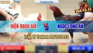 Trận 19 Tonhon 20/12/2025