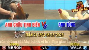 Trận 21 CPC4 18/12/2025