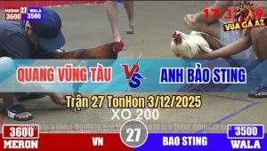 Trận 27 TonHon 3/12/2025 - Điều Chân Chì Đá Bướm Bảo STing Tốc Chạy