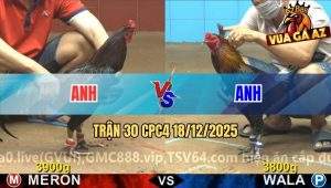 Trận 30 CPC4 18/12/2025