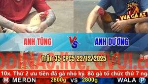 Trận 35 CPC5 22/12/2025