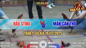 Trận 11 Xà Xía 19/12/2025