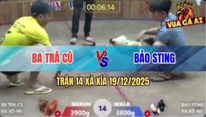 Trận 14 Xà Xía 19/12/2025