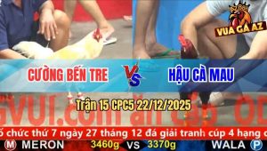 Trận 15 CPC5 22/12/2025