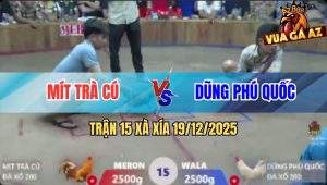 Trận 15 Xà Xía 19/12/2025