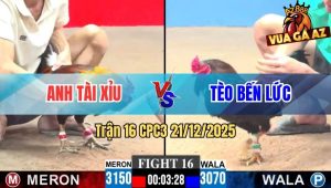 Trận 16 CPC3 21/12/2025