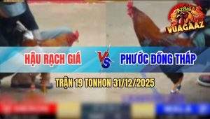 Trận 19 Tonhon 31/12/2025