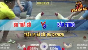 Trận 19 Xà Xía 19/12/2025