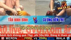 Trận 20 CPC5 22/12/2025