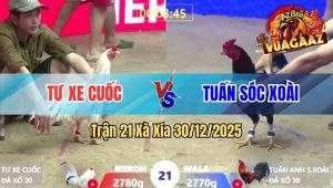 Trận 21 Xà Xía 30/12/2025