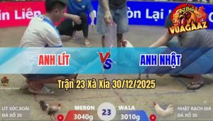 Trận 23 Xà Xía 30/12/2025