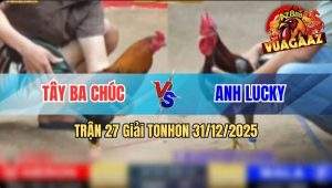 Trận 27 Tonhon 31/12/2025