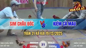Trận 31 Xà Xía 19/12/2025