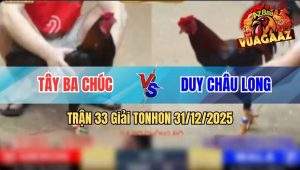 Trận 33 Tonhon 31/12/2025