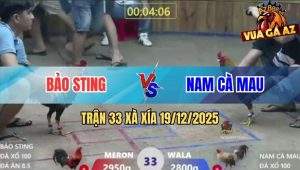 Trận 33 Xà Xía 19/12/2025