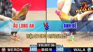 Trận 36 CPC3 21/12/2025
