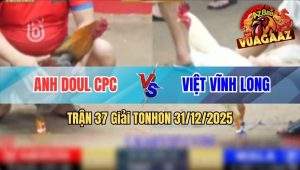 Trận 37 Tonhon 31/12/2025