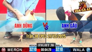 Trận 38 CPC3 21/12/2025