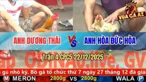 Trận 4 CPC5 29/11/2025
