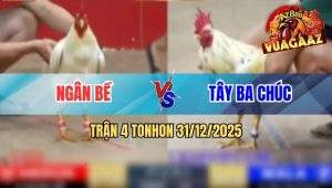 Trận 4 Tonhon 31/12/2025