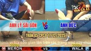 Trận 45 CPC4 17/12/2025