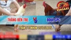 Trận 5 Tonhon 31/12/2025