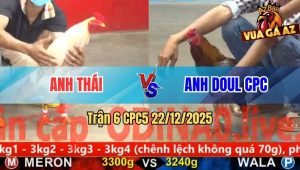 Trận 6 CPC5 22/12/2025