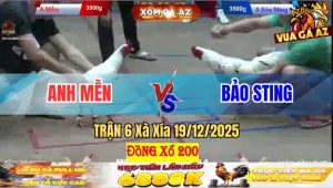 Trận 6 Xà Xía 19/12/2025