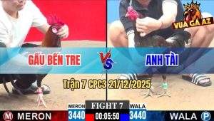 Trận 7 CPC3 21/12/2025