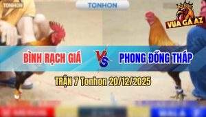 Trận 7 Tonhon 20/12/2025